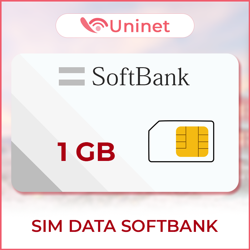 SIM Data SoftBank 1GB