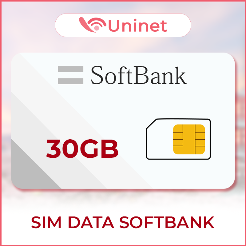 SIM Data SoftBank 30GB
